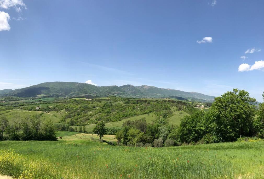 Casa Vacanze Vecchio Frantoio Residenza Leccino Spoleto Eksteriør billede