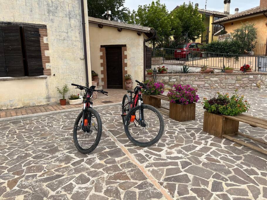 Casa Vacanze Vecchio Frantoio Residenza Leccino Spoleto Eksteriør billede